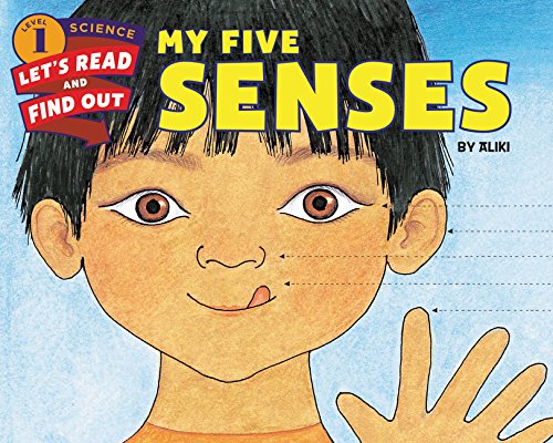 My Five Senses an Engaging Science Picture Book About Exploring Our World Throug