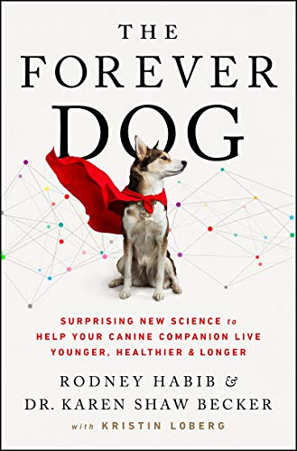 Forever Dog