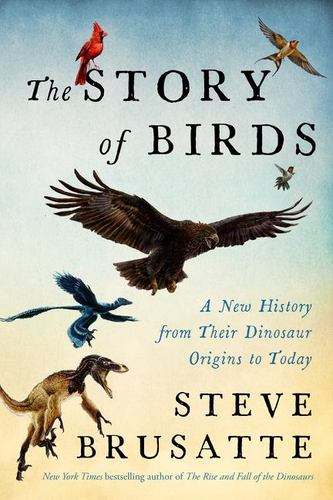 STORY OF BIRDS