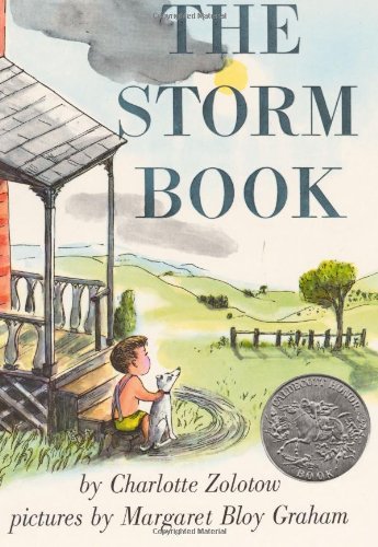 Storm Book