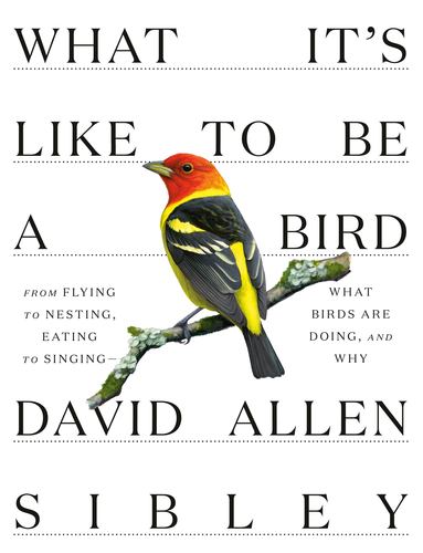 What Its Like to Be a Bird