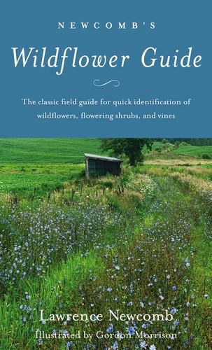 Newcombs Wildflower Guide