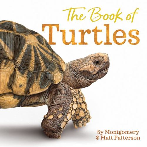 The Book of Turtles a Fact Filled Picture Book About Beloved Reptile Species For