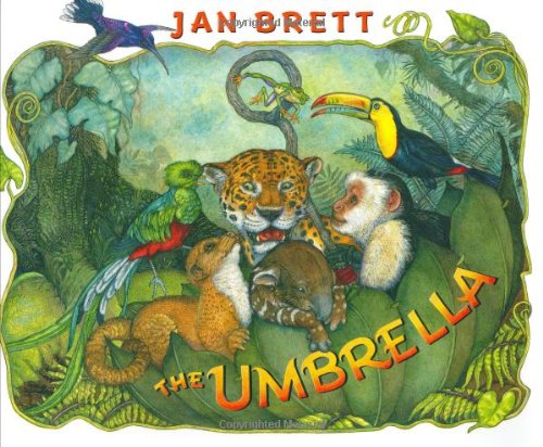 Umbrella