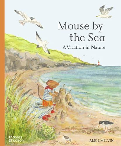 Mouse by the Sea a Vacation in Nature Mouses Adventures