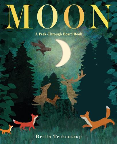 Moon a Peek Through Board Book