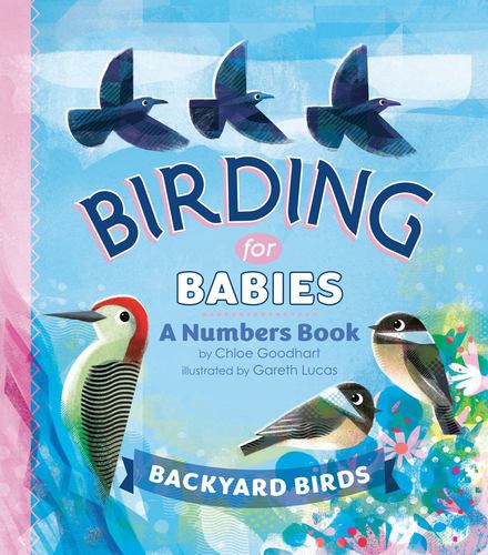 Birding for Babies Backyard Birds
