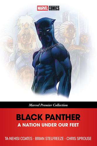 Black Panther a Nation Under Our Feet