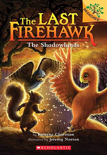 The Shadowlands a Branches Book the Last Firehawk 5