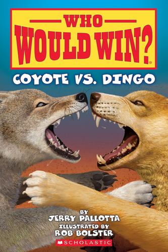 Who Would Win Coyote vs Dingo 27