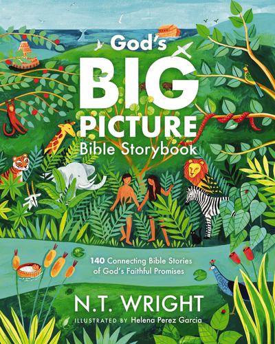 Gods Big Picture Bible Storybk