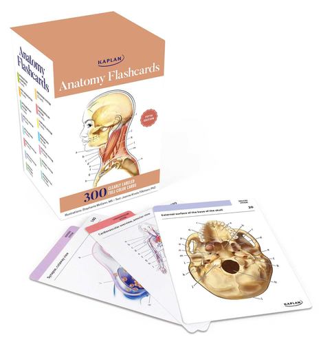 Anatomy Flashcards: 300 Flashcards With