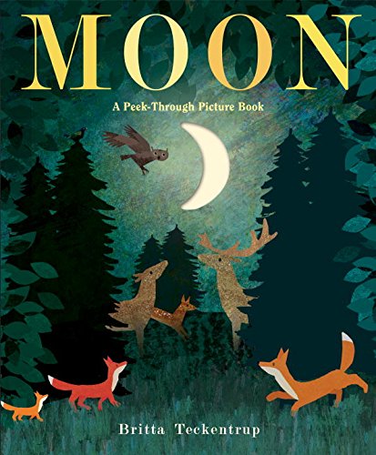 Moon a Peek Through Picture Book