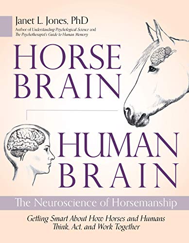 Horse Brained Human Brained
