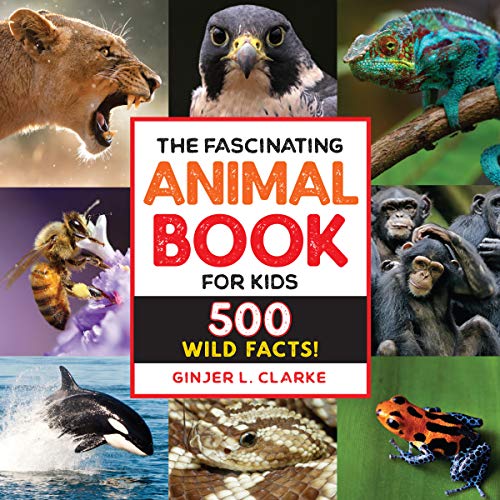 The Fascinating Animal Book for Kids 500 Wild Facts Fascinating Facts Ginjer Cla