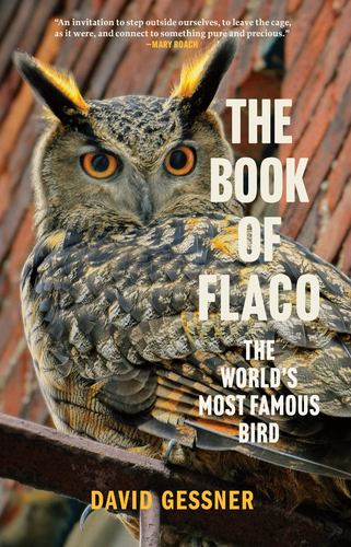 The Book of Flaco the Worlds Most Famous Bird