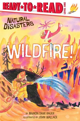Wildfire