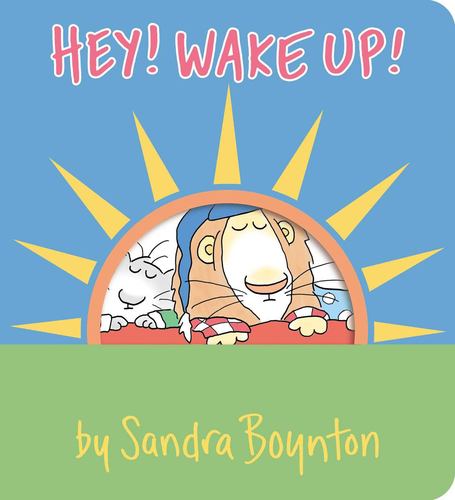 Hey Wake Up