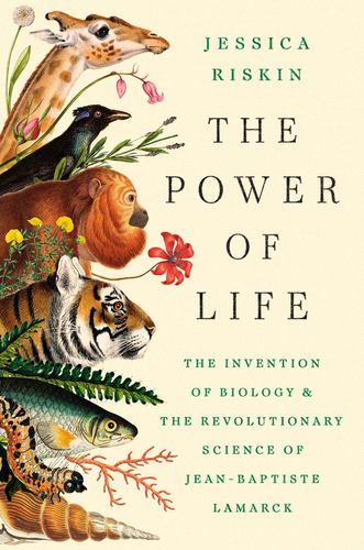 Power of Life