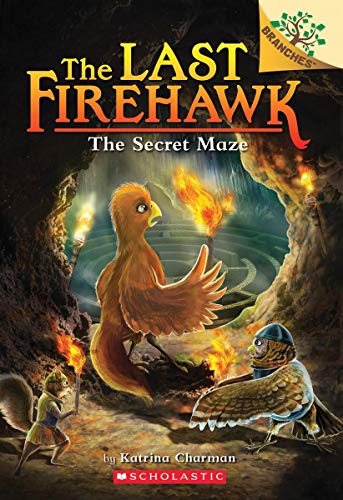 The Secret Maze a Branches Book the Last Firehawk 10