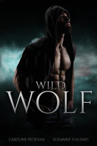 Echo Fort Book 2 in the Sins of the Zodiac Series