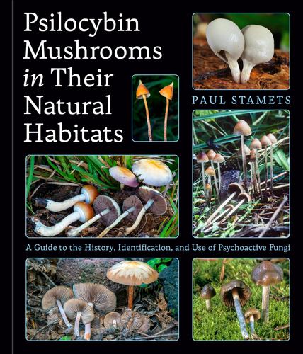 Psilocybin Mushrooms in Their Natural Ha