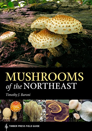 Mushrooms of the Northeastern Us & Easte